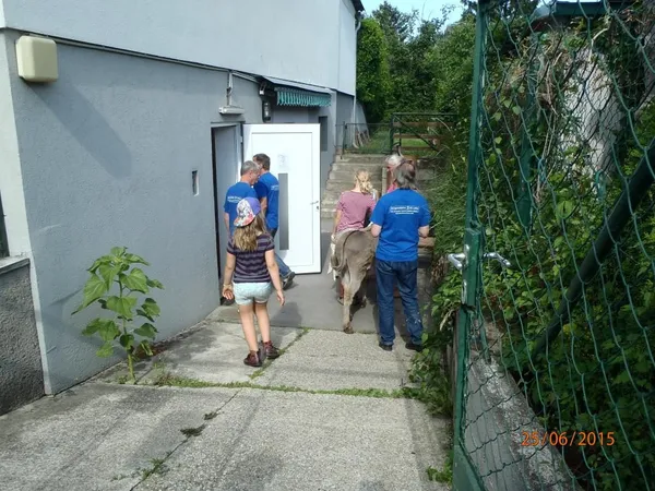 Besuch von Maria Vassilakou, Foto 12