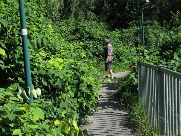 "Entkrautung" der Station, Foto 7