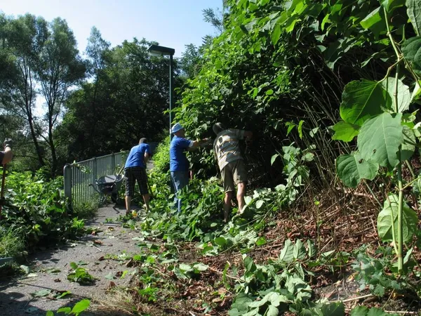 "Entkrautung" der Station, Foto 20