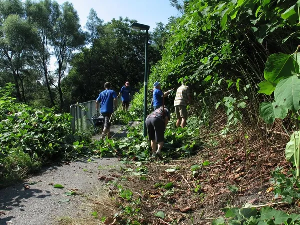 "Entkrautung" der Station, Foto 25