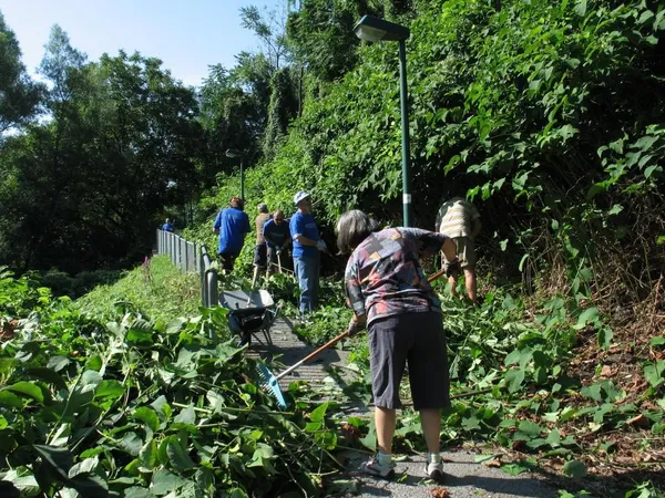 "Entkrautung" der Station, Foto 26