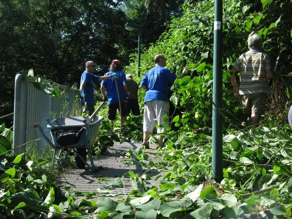 "Entkrautung" der Station, Foto 28