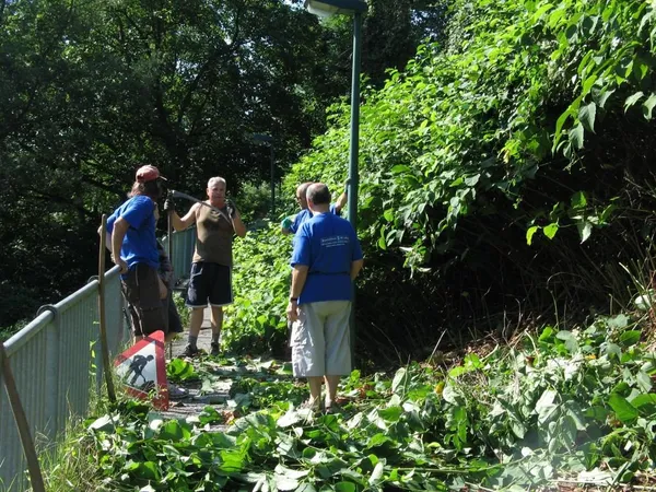 "Entkrautung" der Station, Foto 38