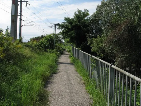 "Entkrautung" der Station, Foto 45