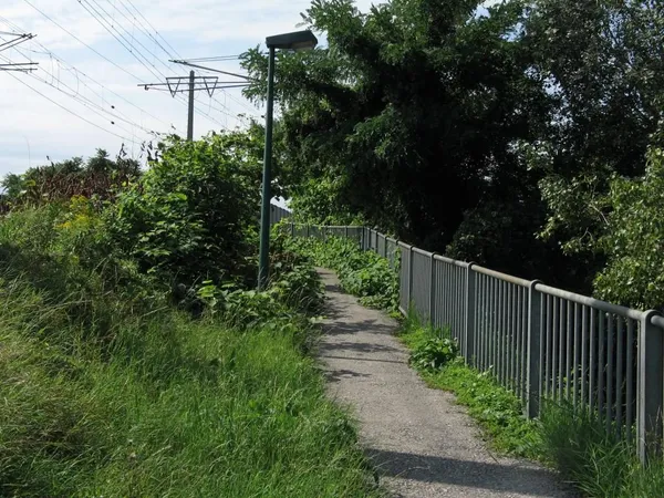 "Entkrautung" der Station, Foto 46