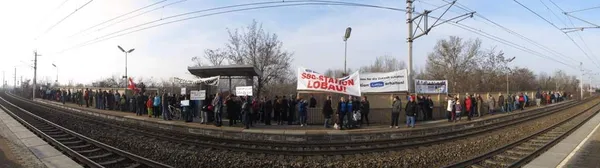 2. Stationswandertag - Von Stadlau nach Lobau, Foto 7